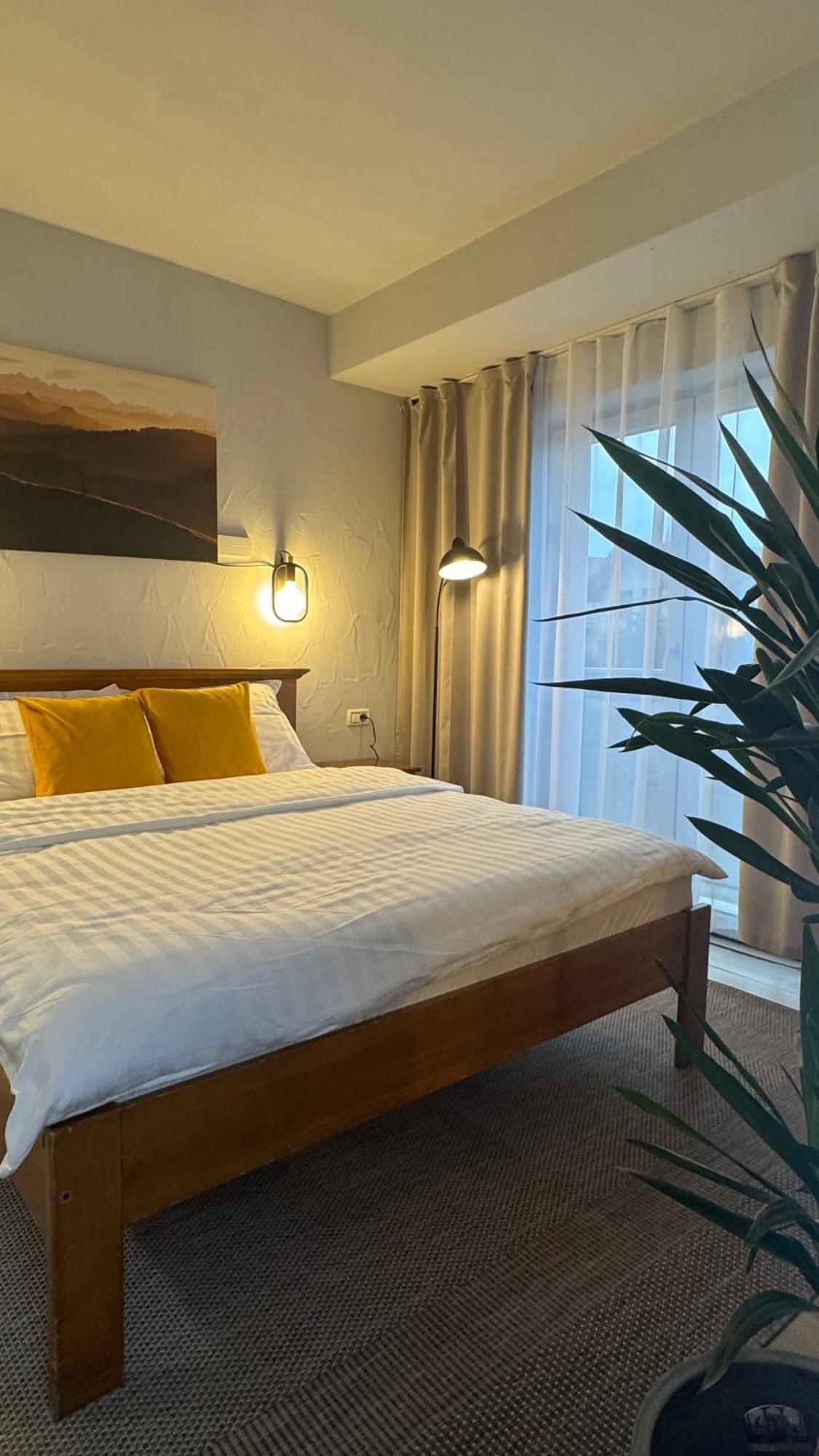 קלוז'-נאפוקה Hotel Lucy Star מראה חיצוני תמונה