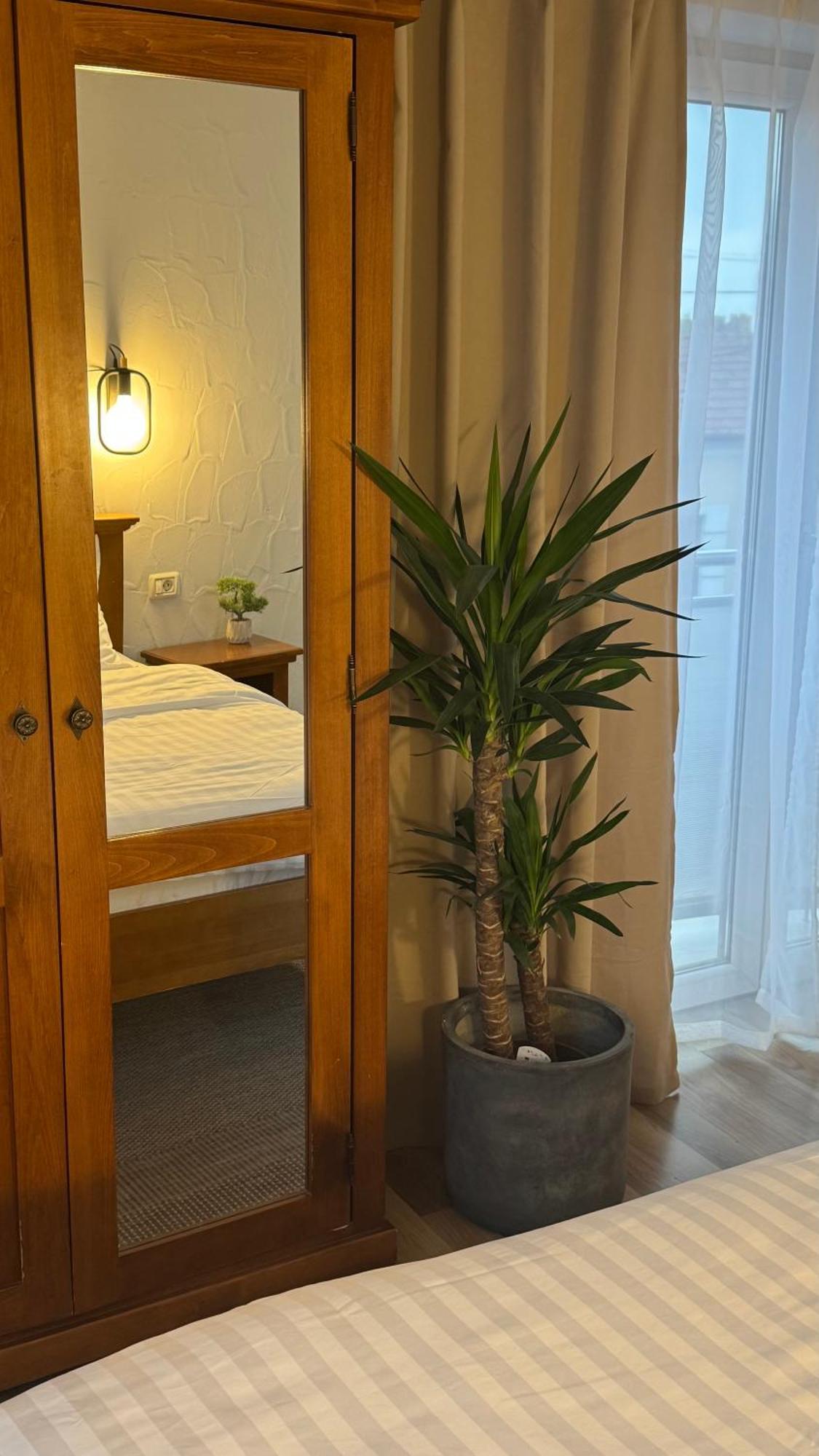 קלוז'-נאפוקה Hotel Lucy Star מראה חיצוני תמונה